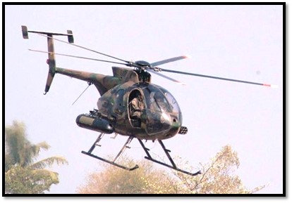 Camouflaged Little Bird.